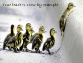 lead by example