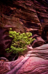 Photo by Wayne Karberg