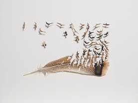 Art by Chris Maynard