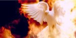 Holy spirit dove